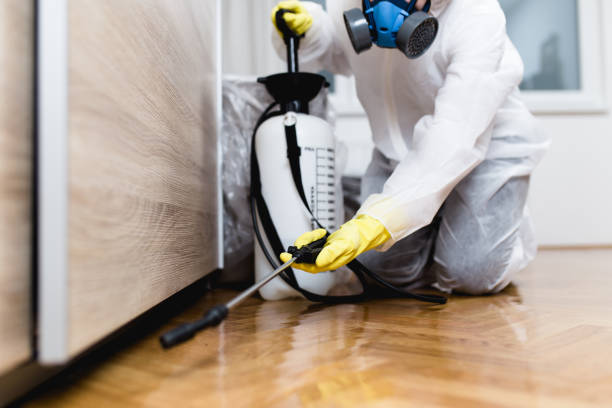 Best Flea Control Services  in Vinton, LA