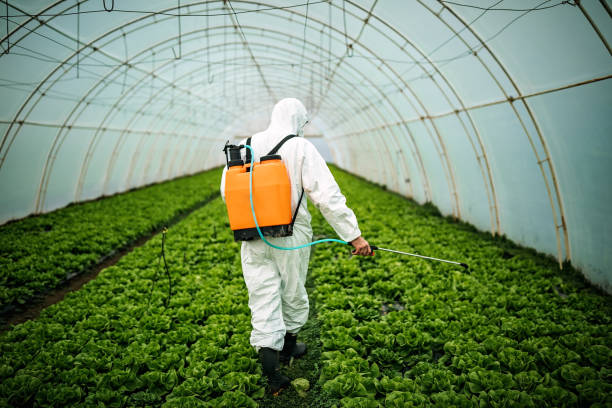 Best Pest Inspection Near Me  in Vinton, LA