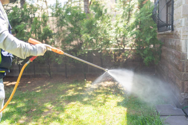 Best Residential Pest Control  in Vinton, LA