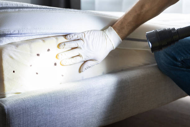 Pest Prevention Services in Vinton, LA