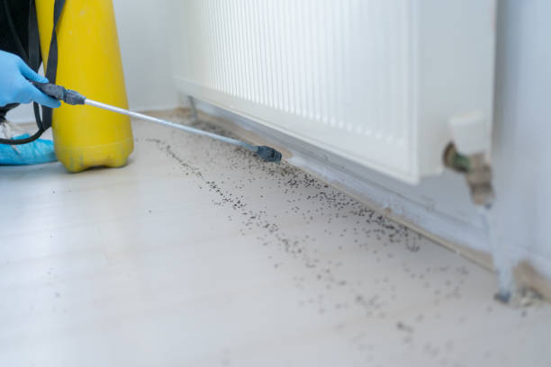 Best Mosquito Control Services  in Vinton, LA