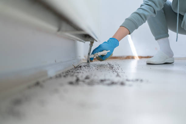 Best Pest Prevention Services  in Vinton, LA